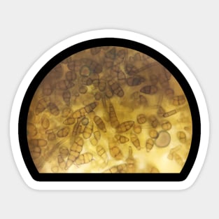 Fungi Alternaria Sticker